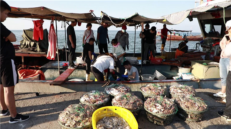 潍坊滨海:鱼虾满仓迎丰收