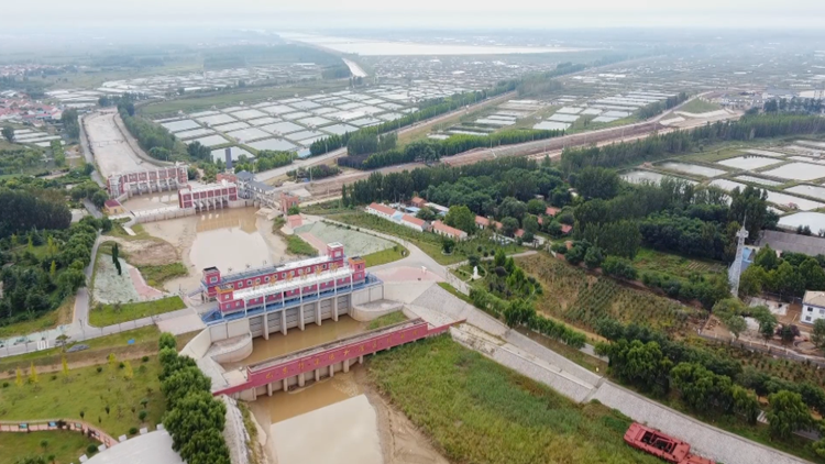國慶美景打卡地 | 濱州打漁張森林公園：森林繁茂 百鳥鳴唱 天然氧吧