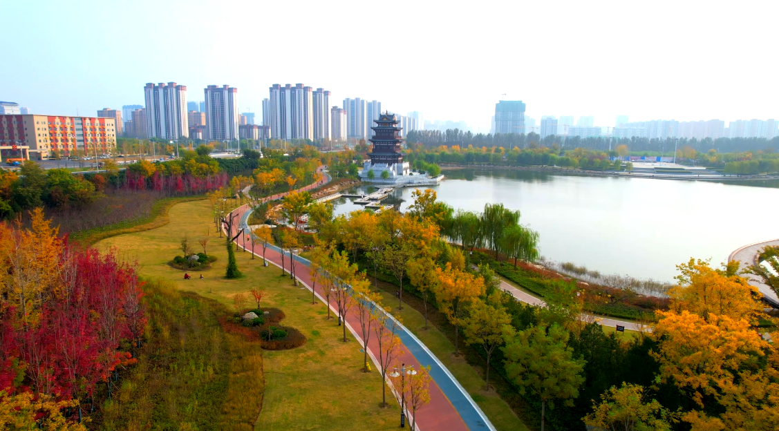 邹城杨下河湿地公园图片