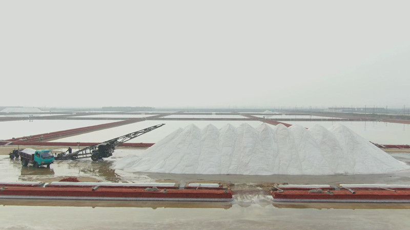 诗画山东│潍坊昌邑万顷盐田银光闪秋盐收获正当时
