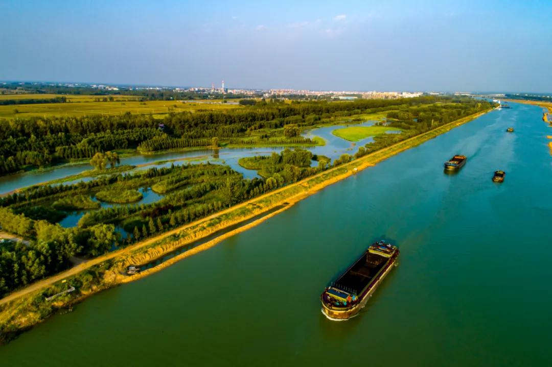 台儿庄运河湿地公园多措保护候鸟悠然过冬