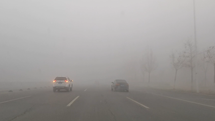 滨州出现大雾天气 建议市民注意防范尽量减少外出