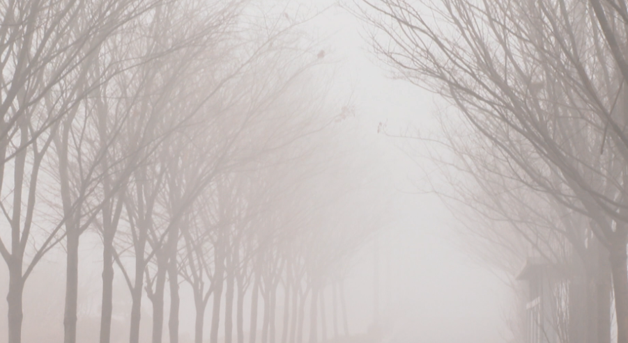 直击大雾下的枣庄台儿庄