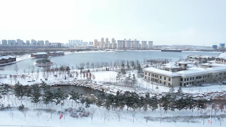 威海南海新区冬日雪景美如画