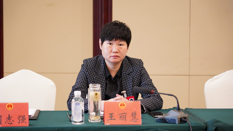 德州市人大代表王丽慧坚决打好五大攻坚战为建设现代化强市贡献武城