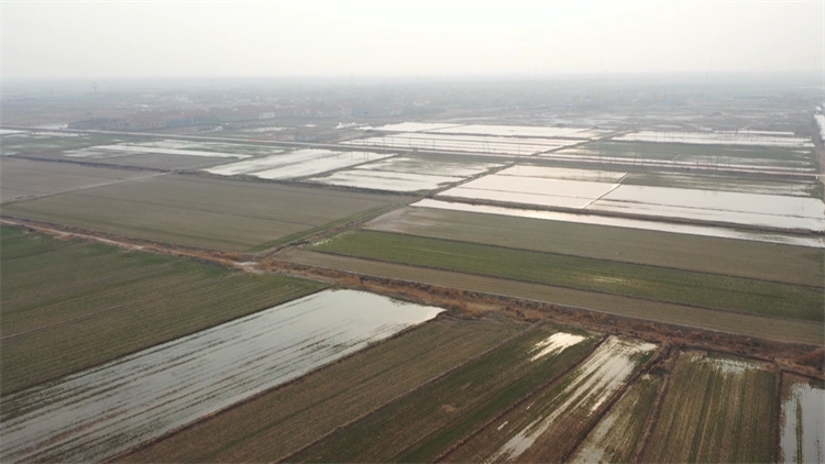 东营利津：节水改造工程 让农田喝上“自来水”