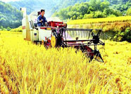 泰安“三夏”农机化生产步入尾声 机收率达99.8%
