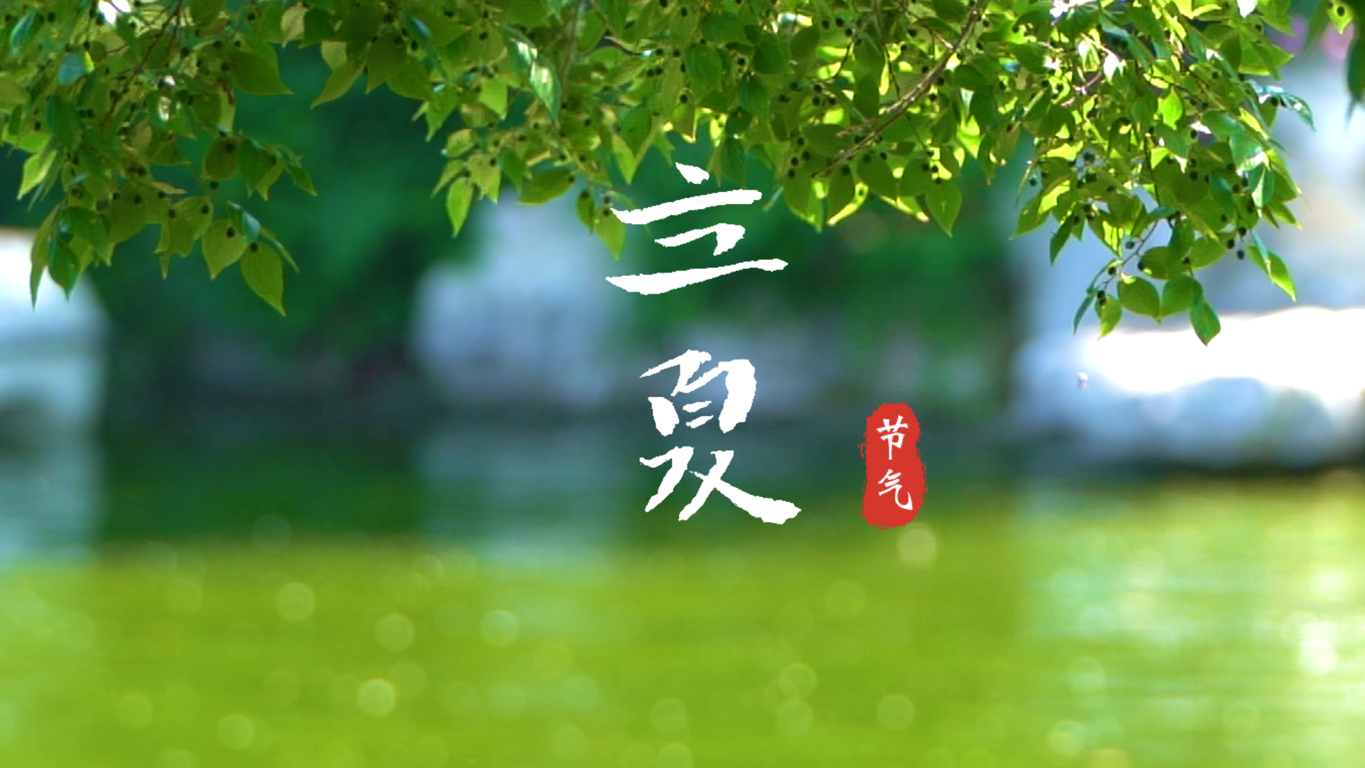 诗画二十四节气立夏薰风带夏来万物并秀时