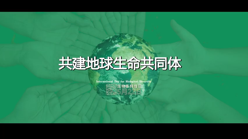 午fun丨共建地球生命共同体2022年国际生物多样性日宣传片来啦