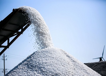 莱州60万公亩盐田进入收获季