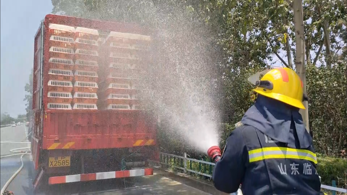 兰陵：货车抛锚4000只活鸡险中暑 消防员给鸡“洗澡”挽回损失10万元