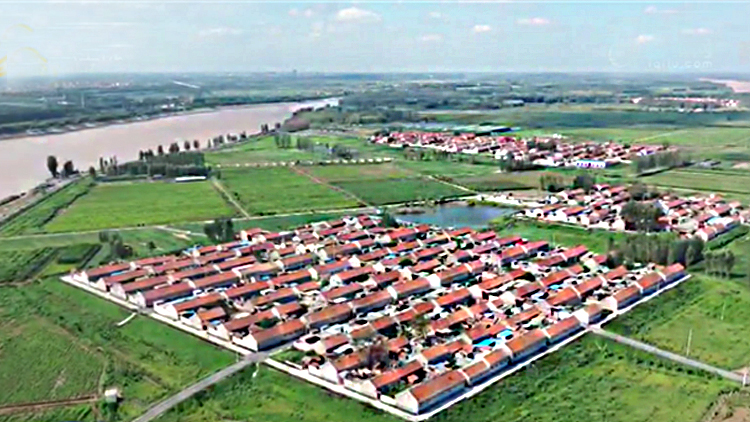 利津“党建红”引领“生态绿” 打造黄河岸边幸福家园