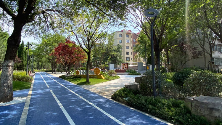 淄博公园城市建设串起绿丝带