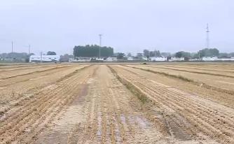 济宁：加紧田间排涝 确保农业生产安全
