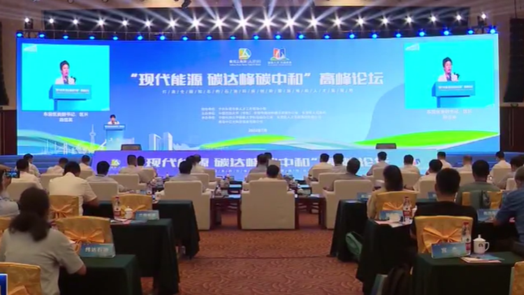 2022东营·中石大“现代能源 碳达峰碳中和”高峰论坛举行