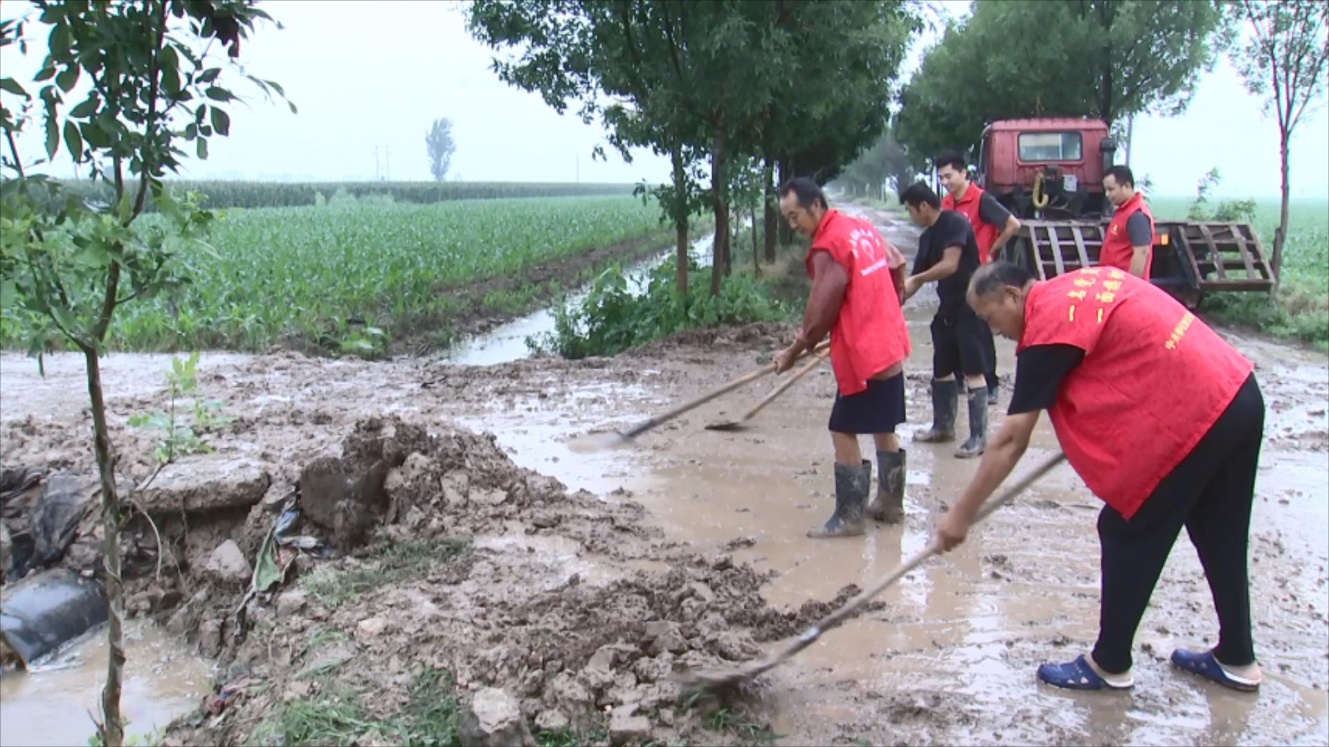 党员冲锋在前 茌平区积极应对强降雨后农田排涝工作