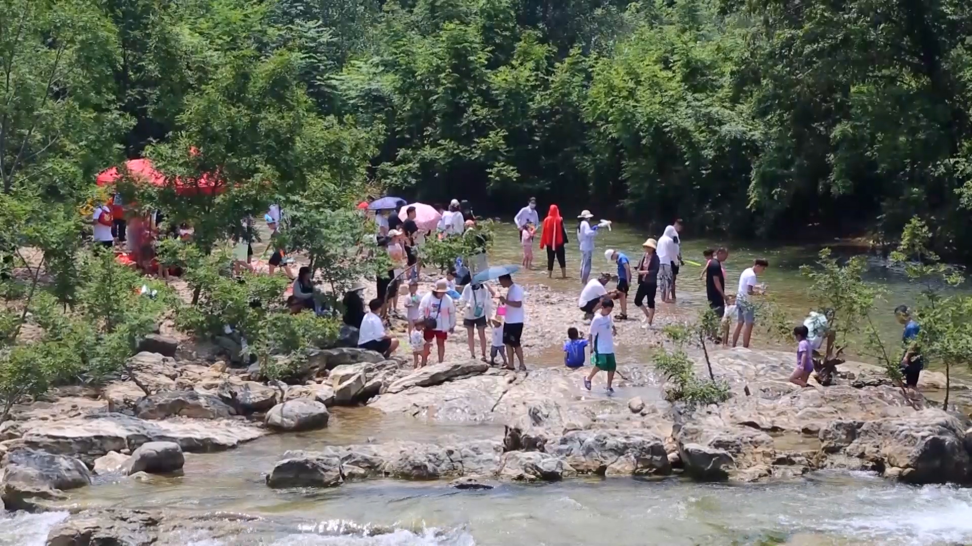 能避暑还能玩水！枣庄山亭小溪流水变身市民打卡点