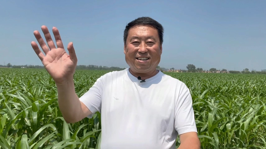 Vlog丨来自武城新农人的声音——科技赋能 让粮食更安全