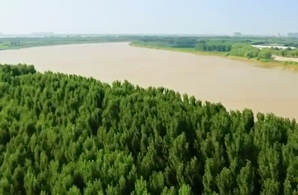 济宁市人大常委会开展全市黄河流域生态保护和高质量发展专题视察