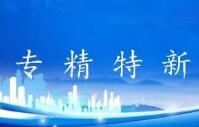 淄博市41家企业入选国家专精特新“小巨人”名单