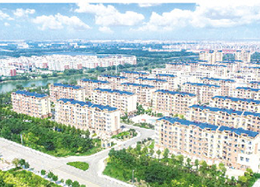 寿光市羊口镇：聚力打造“现代化千亿级滨海产业新城”