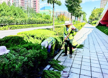 潍坊：园林工人补植忙