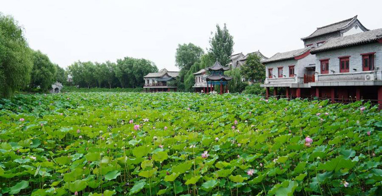潍坊青州：打造生态秀美、全民共享“城市客厅”