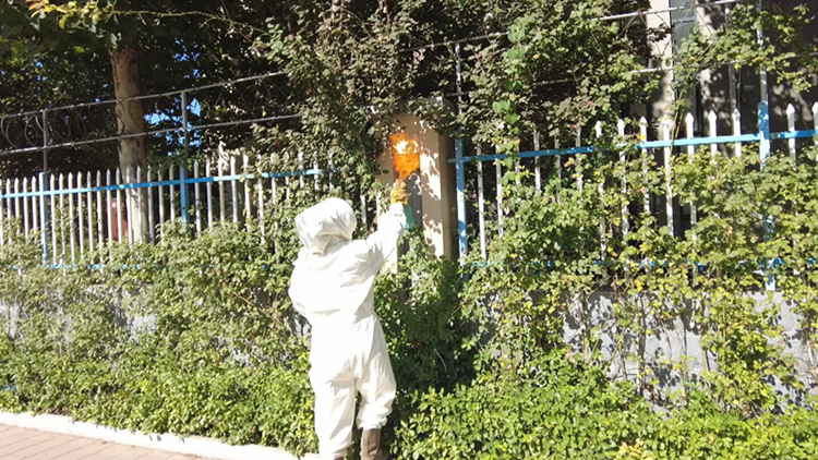 滨州：马蜂“藏身”小学外墙 消防到场快速处置