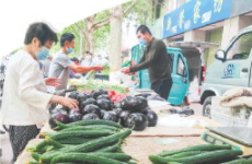 潍坊市深入推进农贸市场规范提升集中行动  让群众的“菜篮子”拎着更舒心