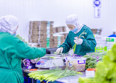潍坊经济开发区以党建活力激发预制菜企业发展动力