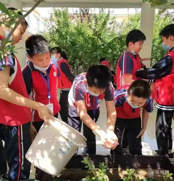 鄒平:體驗綠色種植感受生命成長 