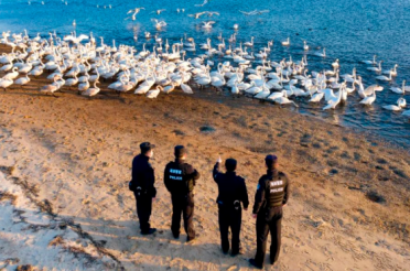 生态警务工作站助推大天鹅国家级自然保护区生态文明建设