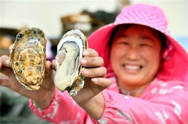 “乳山牡蛎”上榜国家2022年农业品牌精品培育计划名单