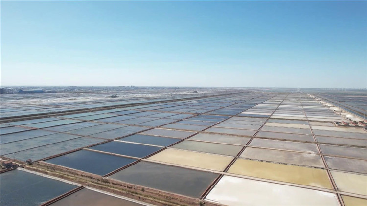 潍坊滨海万亩盐田展开丰收画卷
