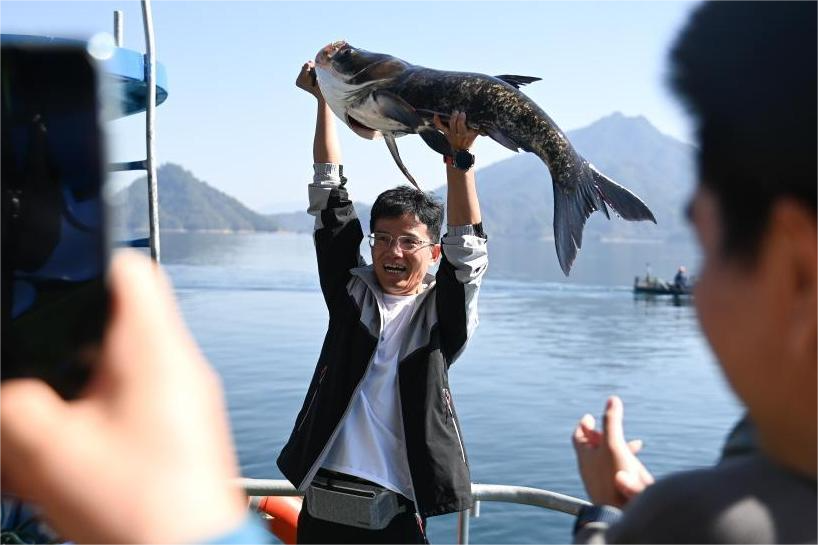 浙江：千岛湖巨网捕鱼迎丰收