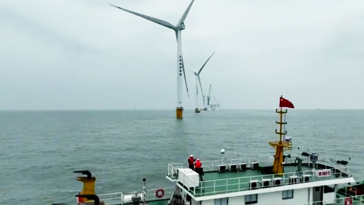 山东平价海上风电项目发出首度“绿电”