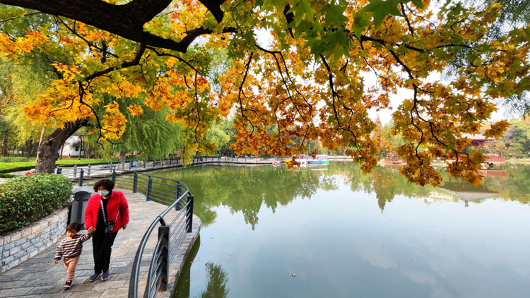 这就是淄博丨人民公园：五彩斑斓 景色如画
