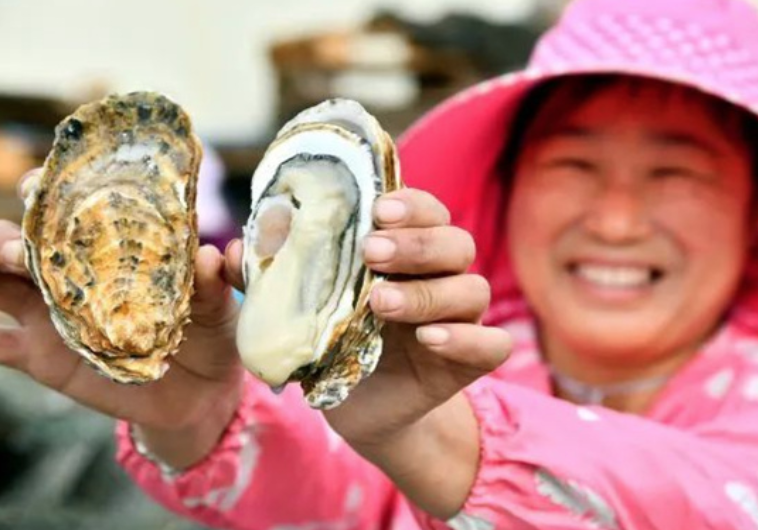 “乳山牡蛎”成功入选2022年农业品牌创新发展典型案例 