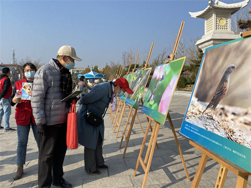 泰安市积极开展野生动物宣传月活动