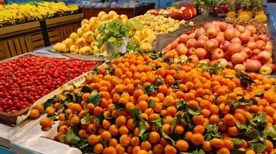 时令水果轮番上市 橘橙类销售占临沂市场近三成
