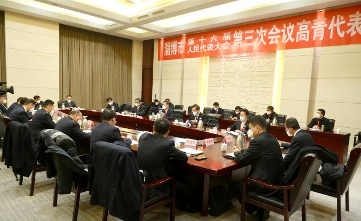 马晓磊参加市十六届人大三次会议高青代表团审议