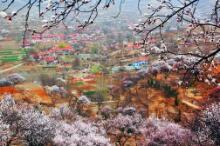 淄博市两个乡镇入选第二批省旅游民宿集聚区培育单位