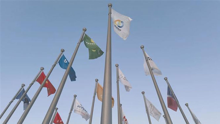 淄博“新版”双百强企业旗帜在荣耀广场升起