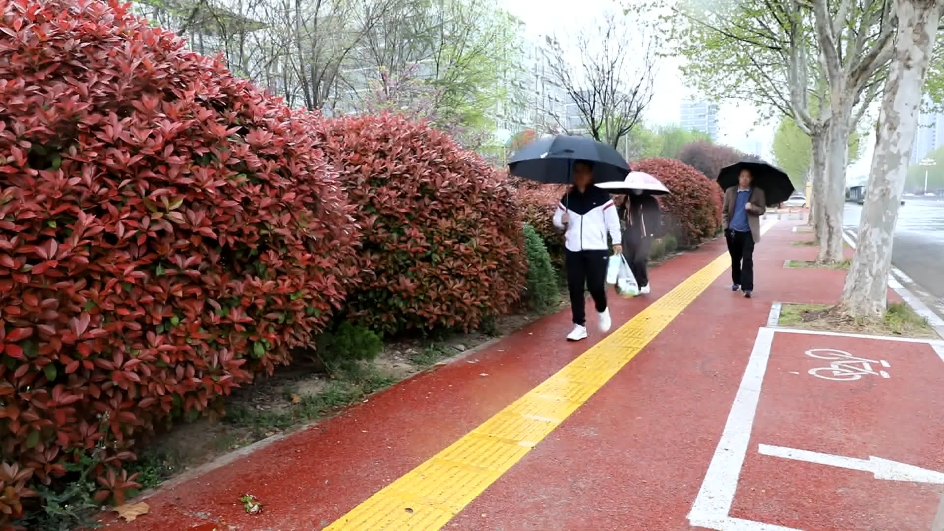 曹县多个乡镇已降中雨！山东多地今明两天有中到大雨局部暴雨齐鲁原创山东新闻新闻齐鲁网 6772