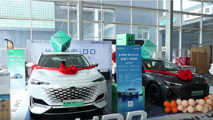 泰安市岱岳區：促進汽車消費回暖