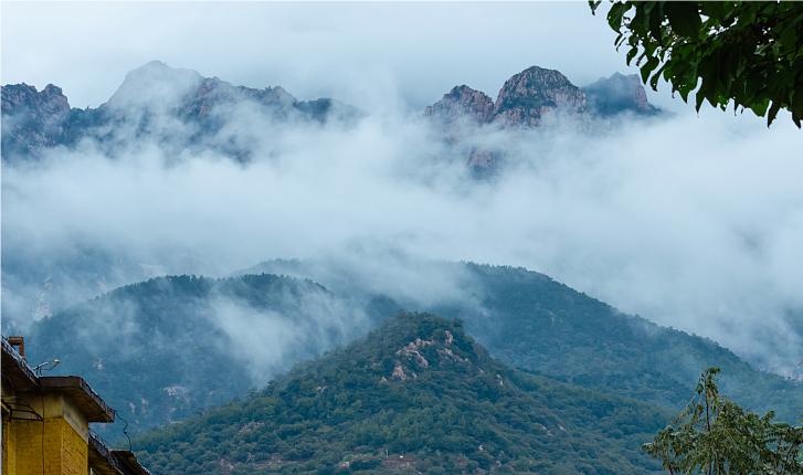 云山霧罩 如墜煙海 厚雨初霽的山東太“仙”了！