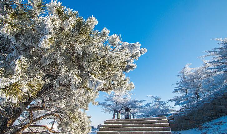 泰山之巅今冬首场雾凇已上线