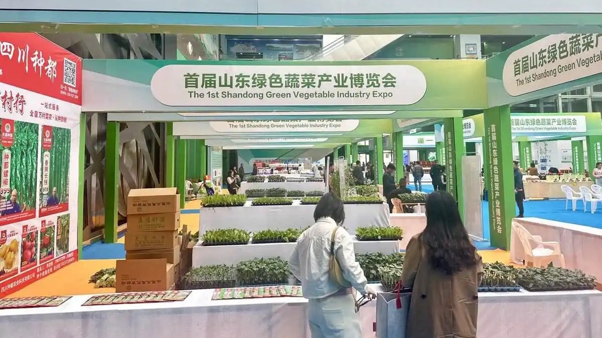 兰陵：首届山东绿色蔬菜产业博览会亮点纷呈