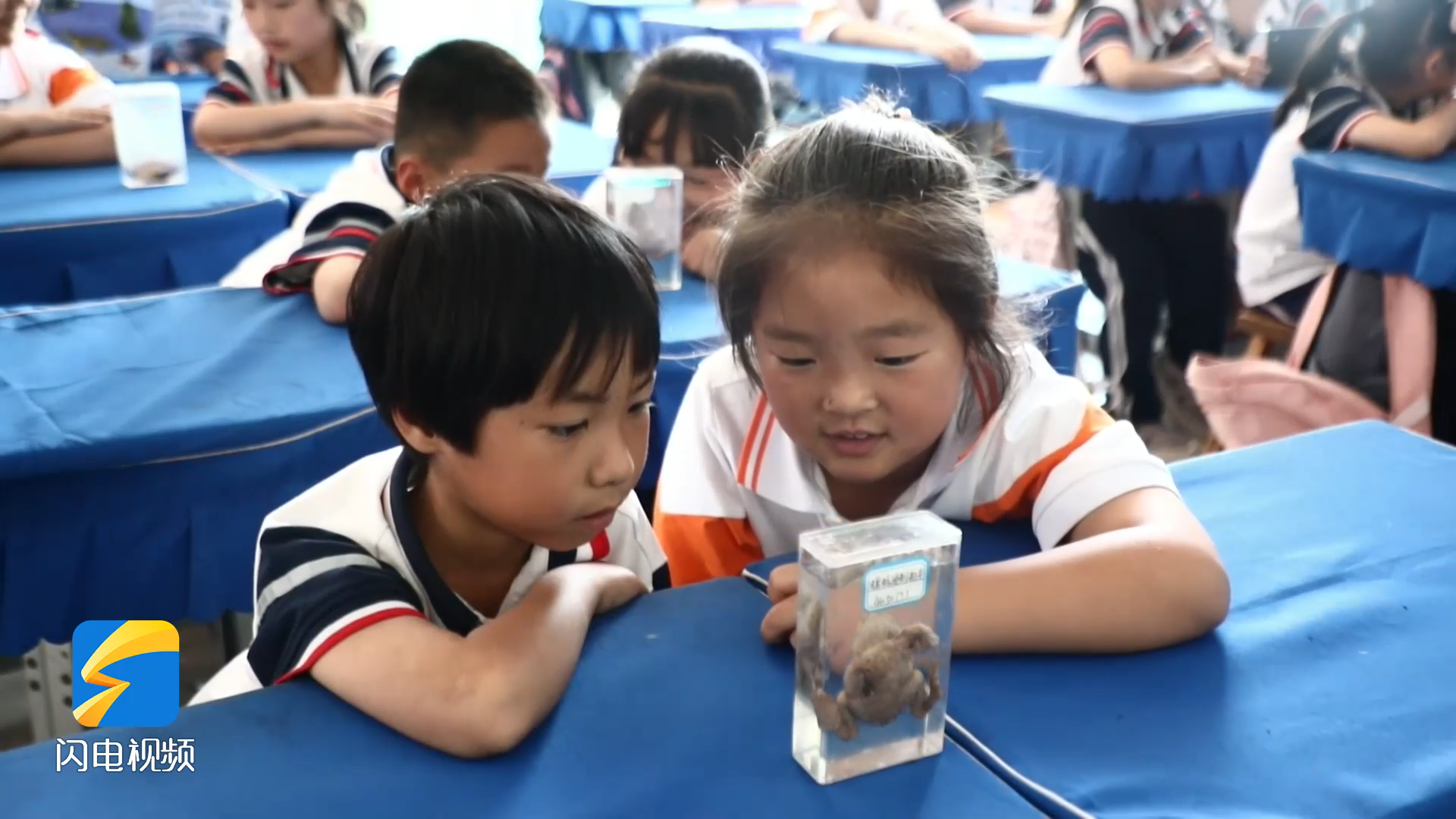 沾化：生物多樣性科普進課堂 共同守護美好家園