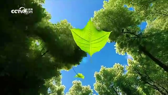 美麗中國我先行｜惠此樂土